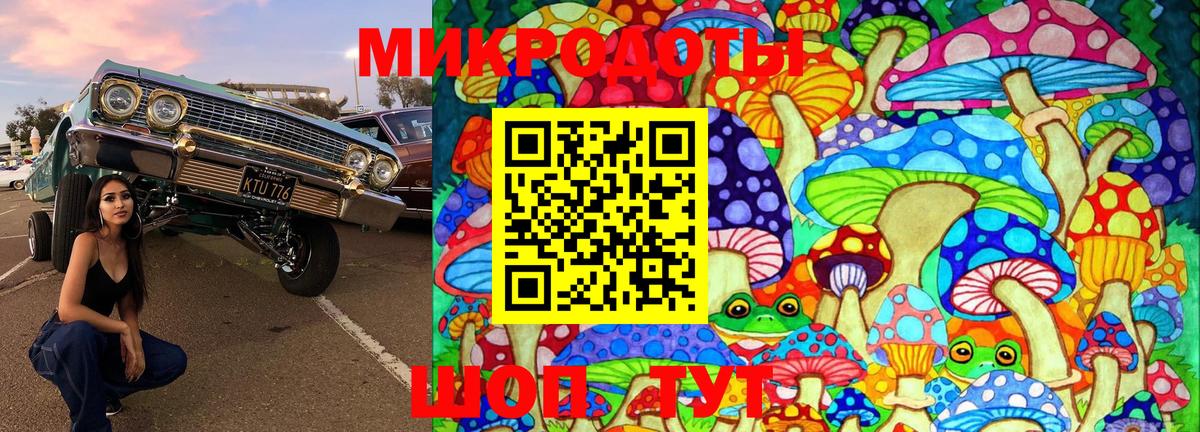 Псилоцибиновые грибы мухоморы Костомукша